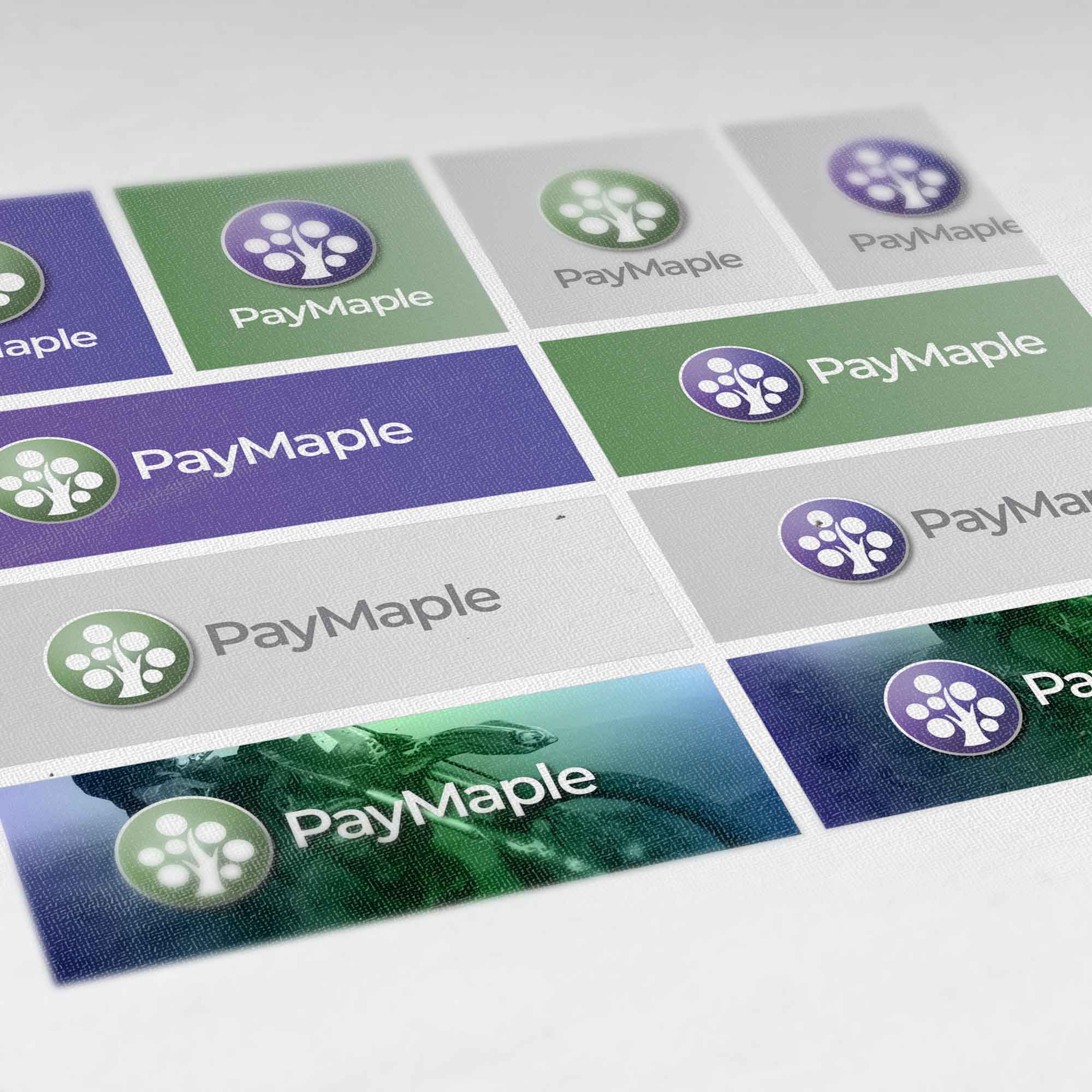 PayMaple, work by Globecreative