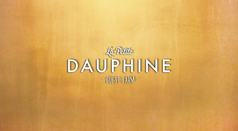 LA Petite Dauphine, work by Globecreative