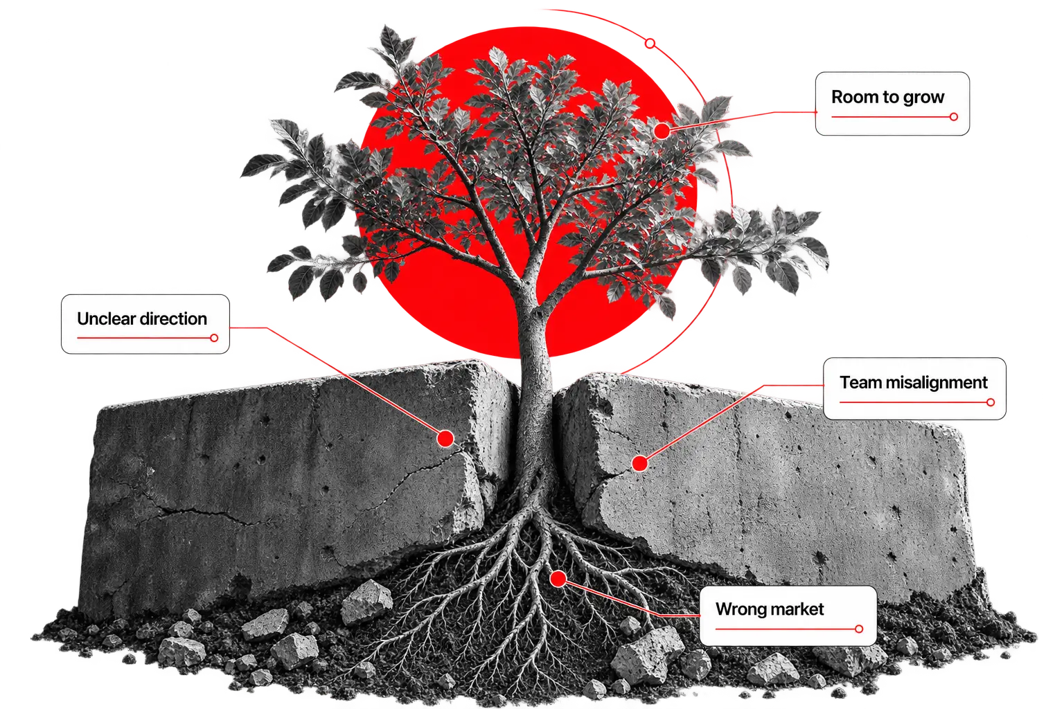 A tree breaking through concrete blocks, showing growth held back by hidden constraints